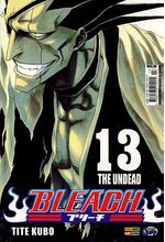 -manga-bleach-13