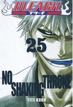 -manga-bleach-25