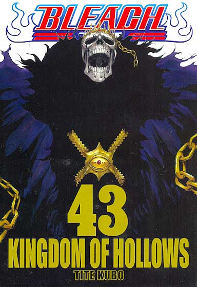 Bleach # 43