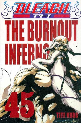Bleach # 45