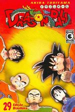 -manga-Dragon-Ball-29