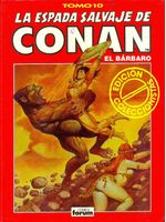 -importados-espanha-la-espada-salvaje-de-conan-el-barbaro-10