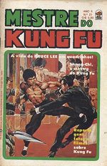 -raridades_etc-mestre-kung-fu-21