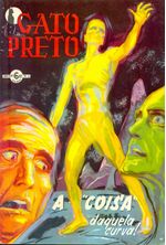 -raridades_etc-gato-preto-06