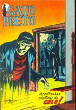 -raridades_etc-gato-preto-13
