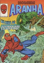 -rge-homem-aranha-30