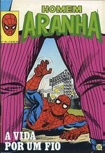 -rge-homem-aranha-39