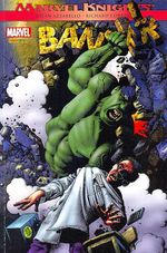 -herois_panini-hulk-banner