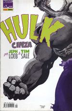 -herois_panini-hulk-cinza-01