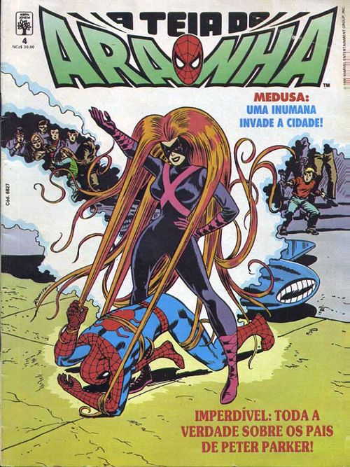 Teia do Aranha # 004