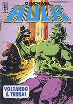 -herois_abril_etc-hulk-064