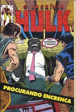 -herois_abril_etc-hulk-113