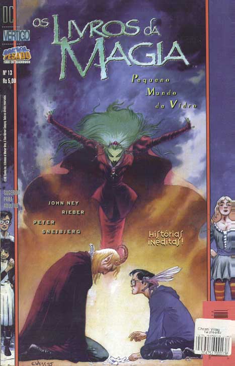 Vertigo DC # 13