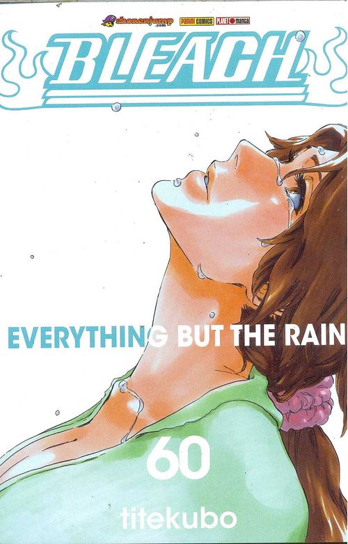 Bleach # 60
