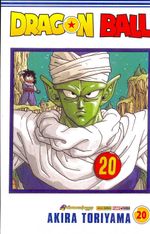 Dragon-Ball---20