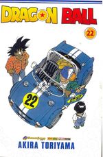 Dragon-Ball---22
