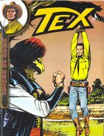 Tex-Ouro---63
