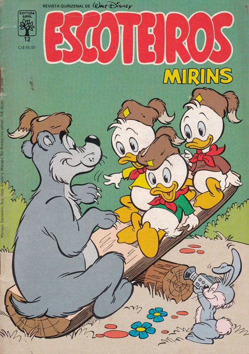 Escoteiros Mirins # 12