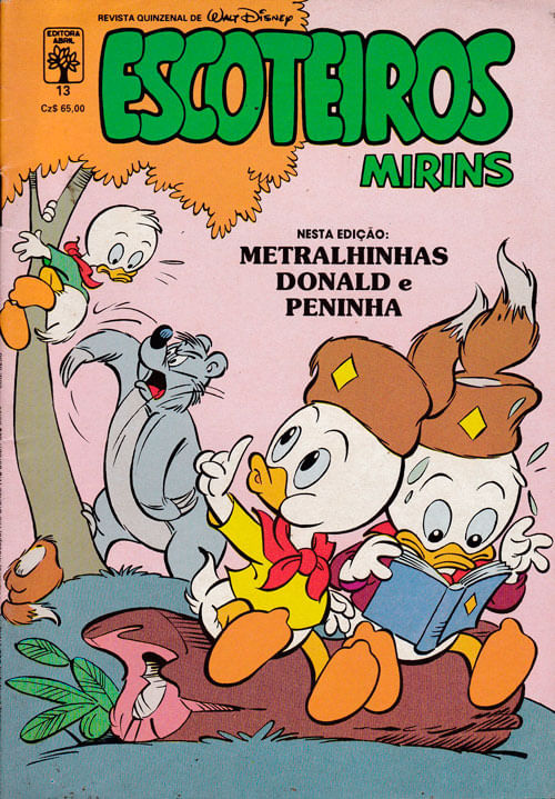 escoteiros-mirins-13