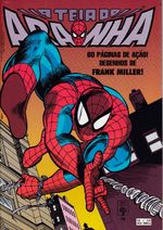 teia-do-aranha-048