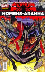 homens-aranha