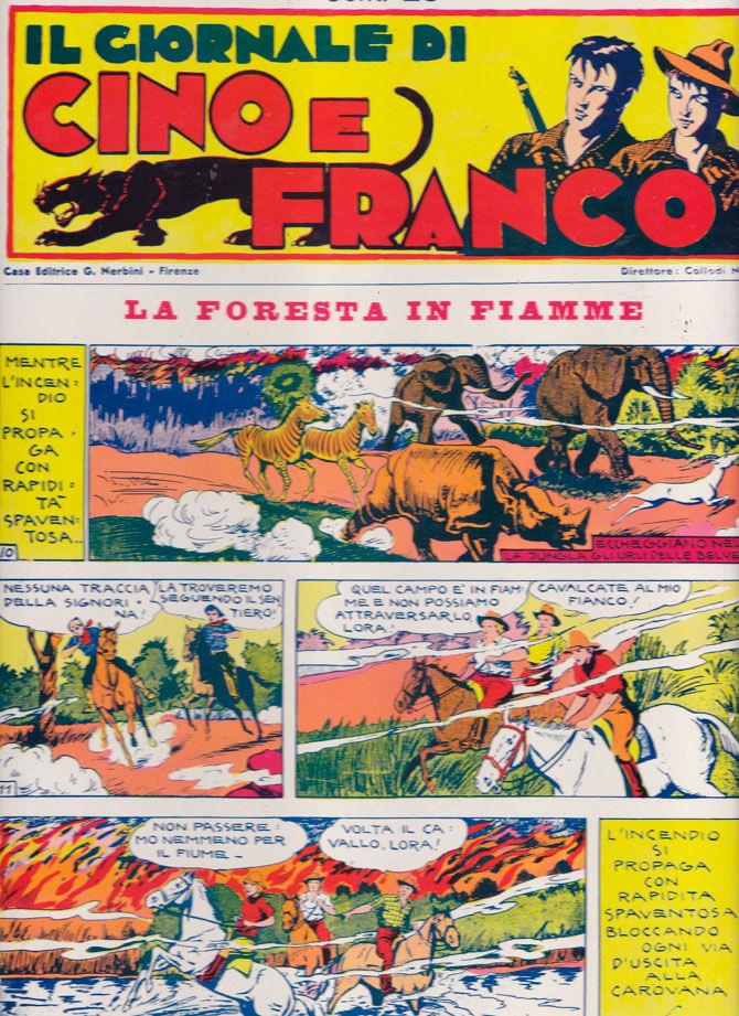 capa