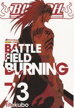 Bleach---73