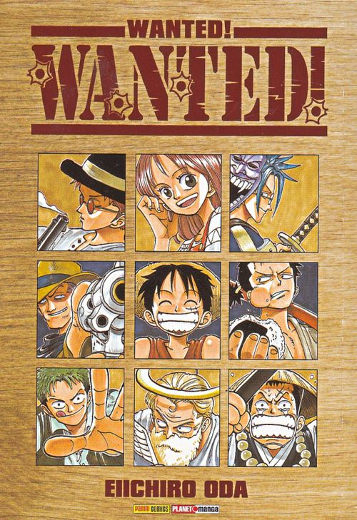 One Piece Wanted!