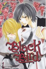 Black-Bird---01