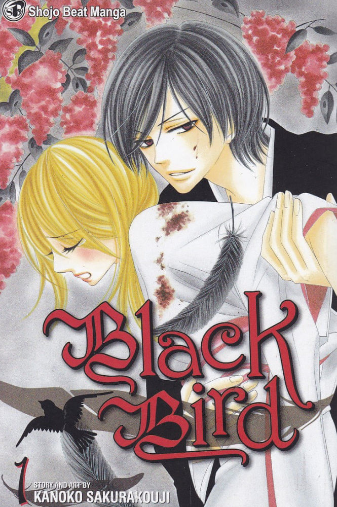 Black-Bird---01