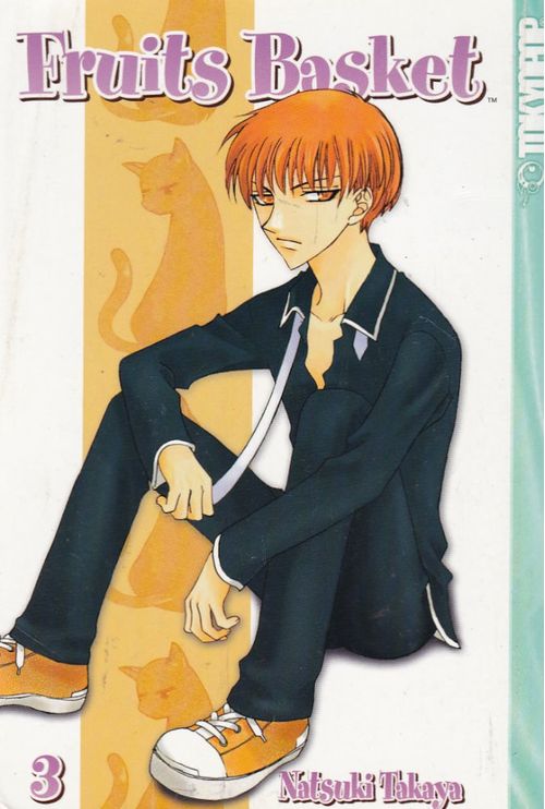Fruits Basket # 03