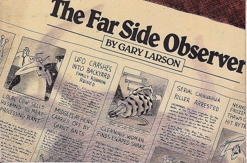 Far Side Observer TPB