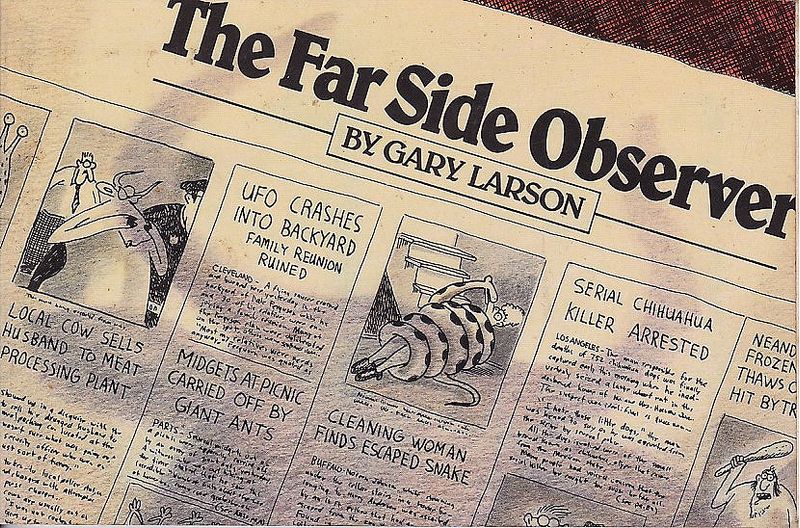 Far-Side-Observer-TPB