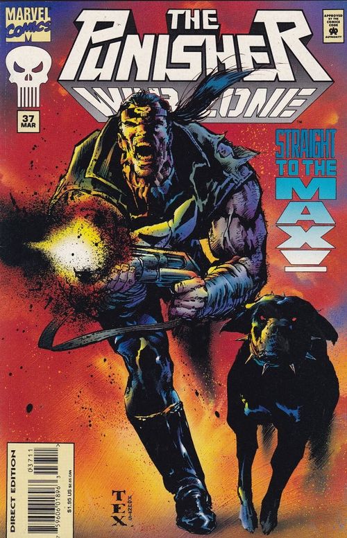 Punisher - War Zone # 37