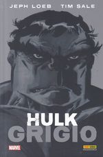 Hulk---Grigio