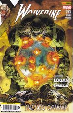 Wolverine---355