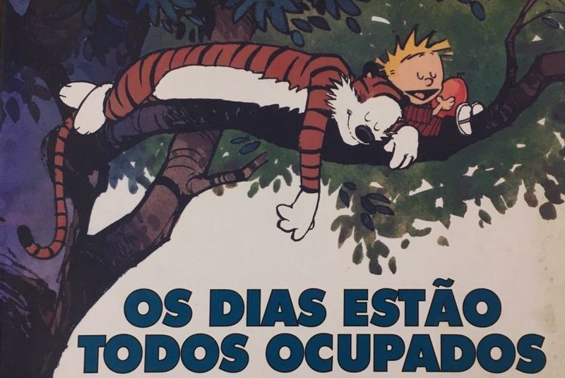 Calvin-e-Haroldo---Os-Dias-Estao-Todos-Ocupados