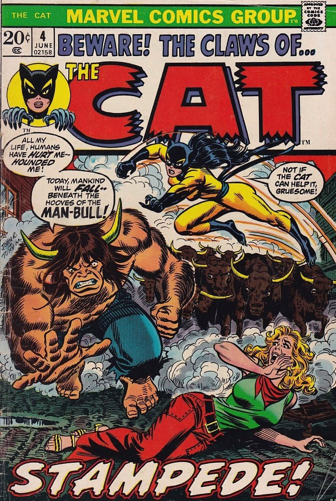 Cat---4
