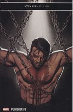 Punisher-Volume-13-6