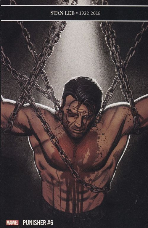 Punisher - Volume 13 # 06