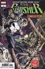 Punisher-Annual---Volume-13---1