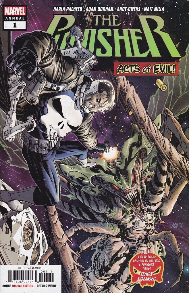 Punisher-Annual---Volume-13---1