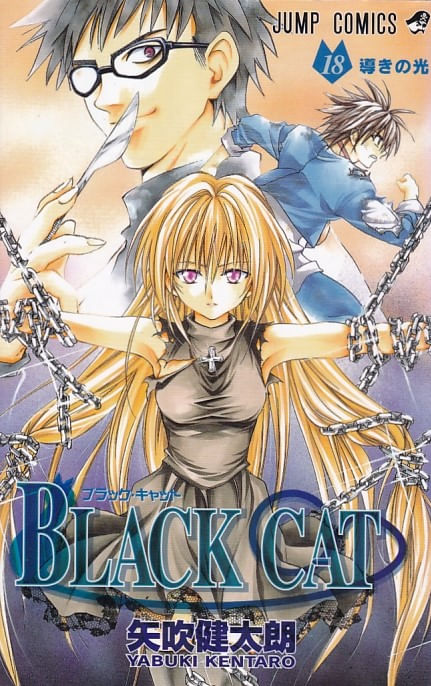 Black-Cat---18