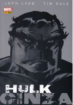 Hulk---Cinza--Capa-Dura-