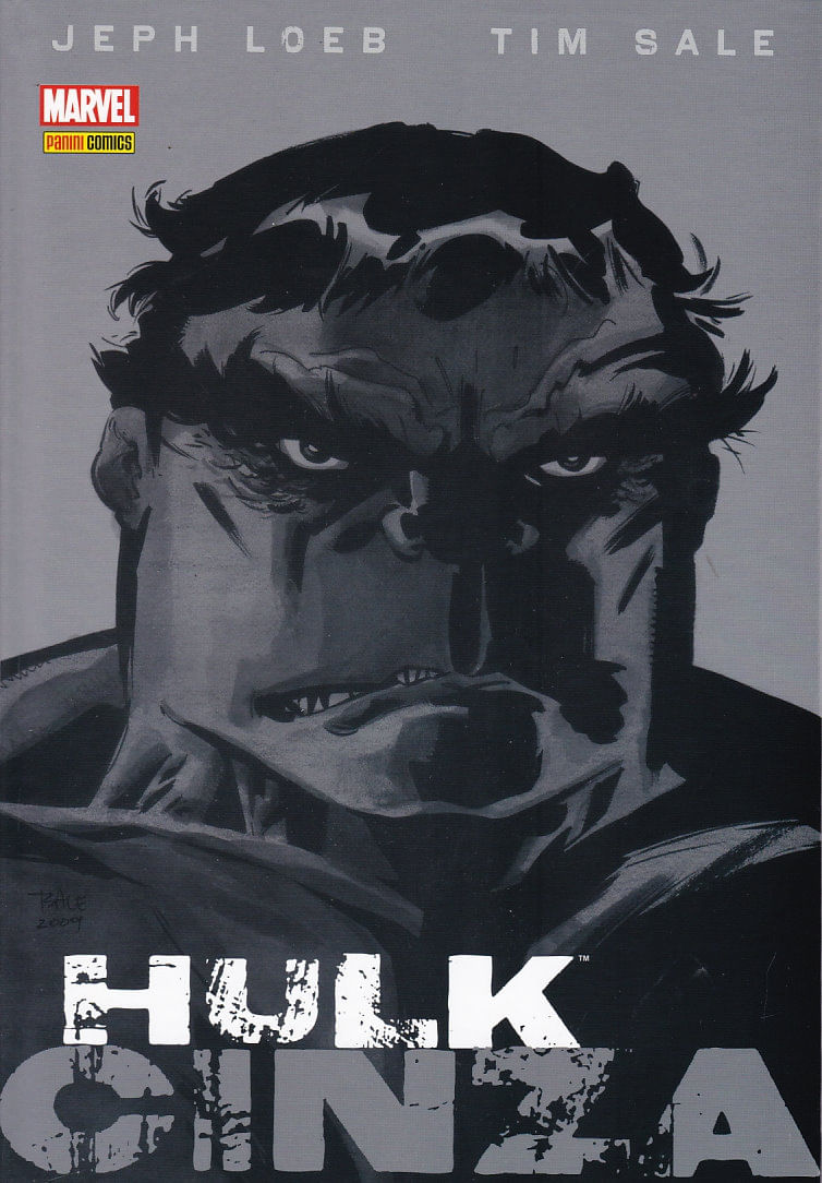 Hulk---Cinza--Capa-Dura-
