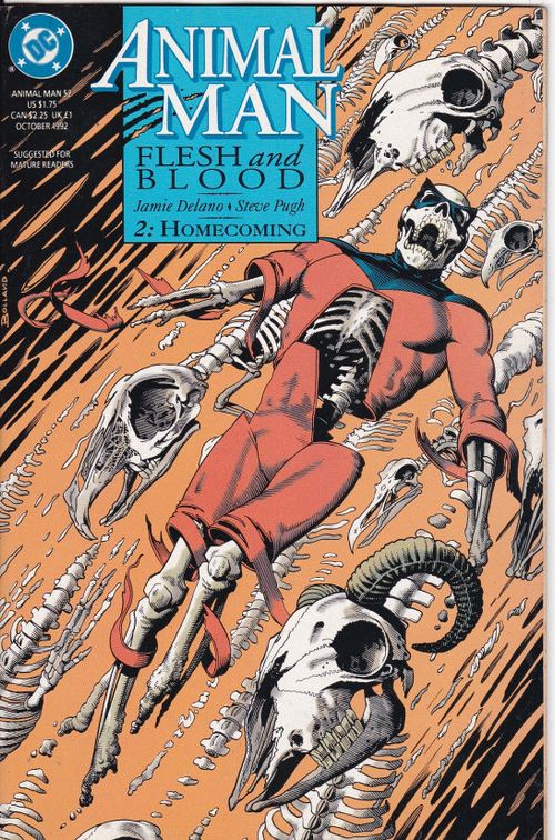 Animal Man - Volume 1 # 52