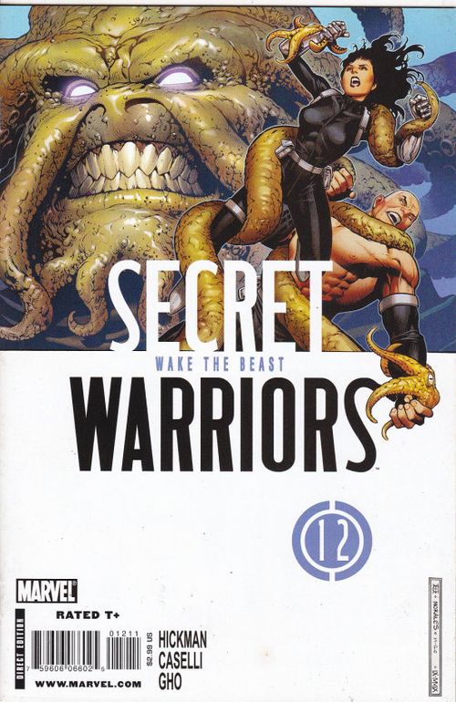 Secret Warriors - Volume 1 # 12