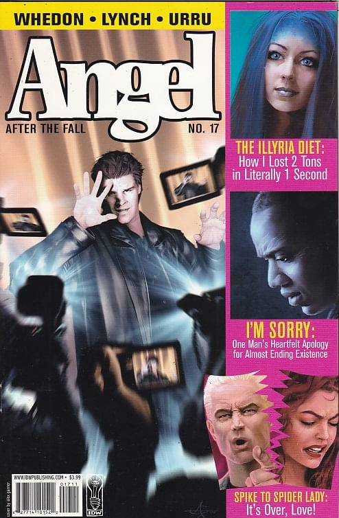 Angel After the Fall # 17