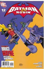 Batman-and-Robin---Volume-1---12