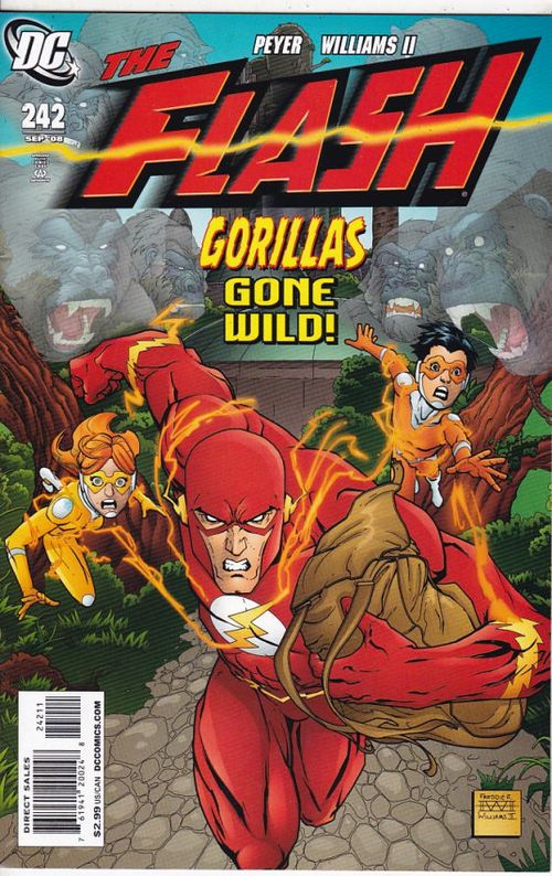 Flash - Volume 2 # 242